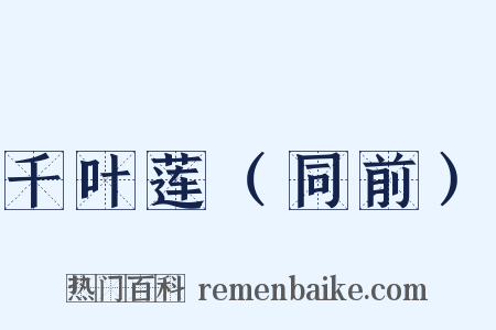 千叶莲（同前）是什么意思的图片